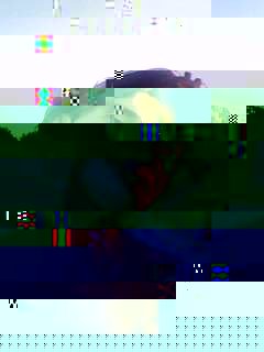 IMG0140A.jpg