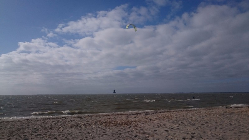 DSC_0160.JPG