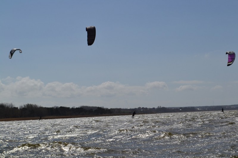 DSC_0036.jpg