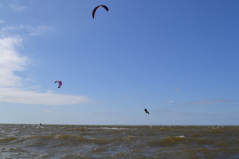 DSC_0039.jpg