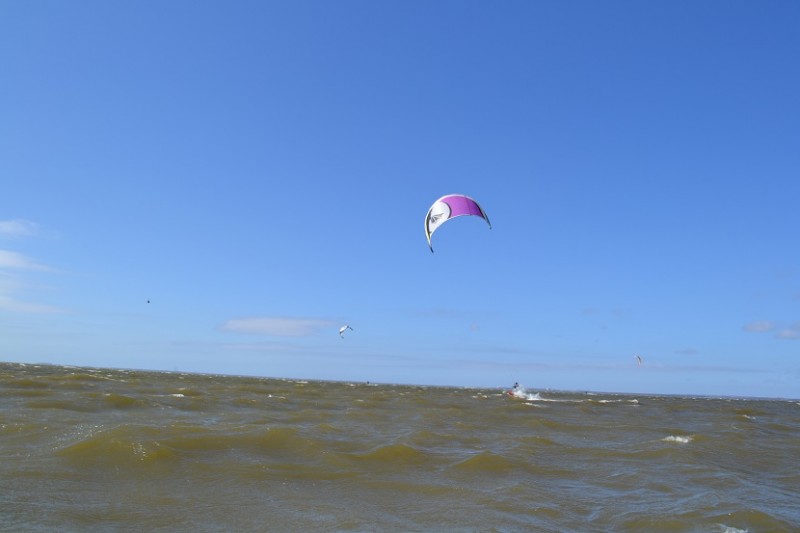 DSC_0073.jpg